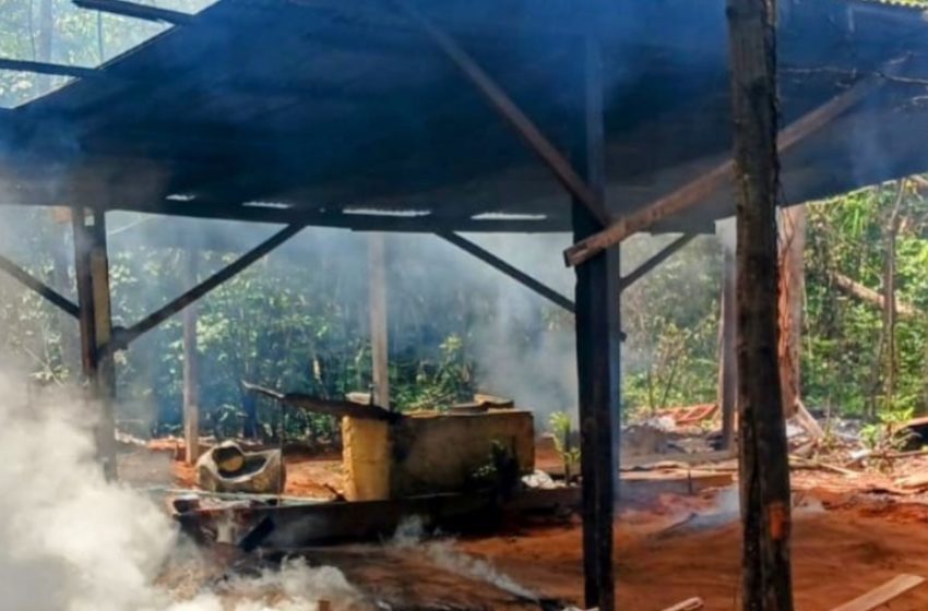  Polícia localiza fábrica clandestina e apreende mais de 300 pacotes de carvão em Macapá