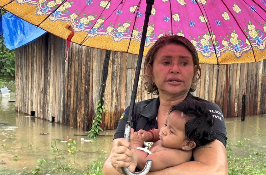  VÍDEO: casa afunda durante cheia e crianças são resgatadas pela janela no interior do Amapá