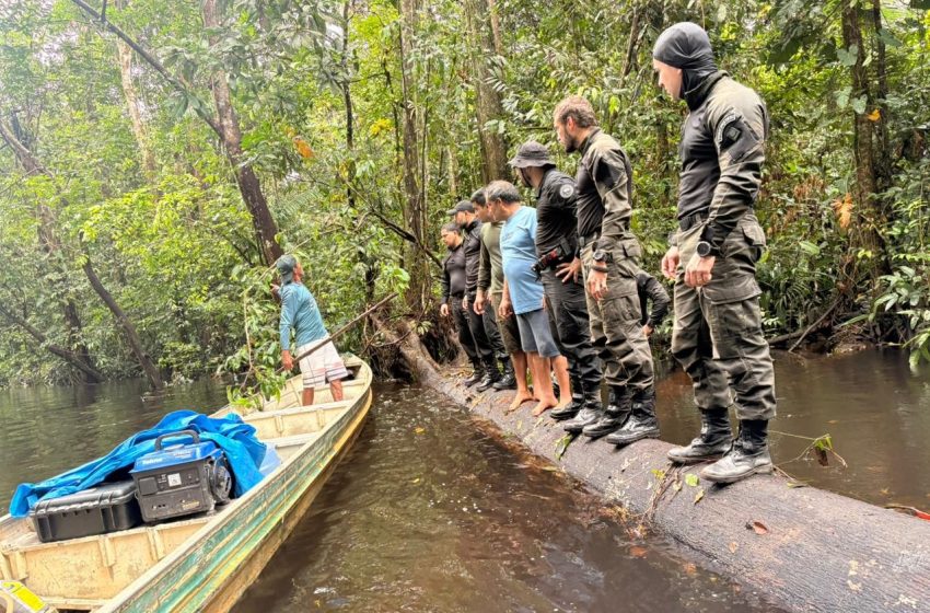  Operação mira em áreas de preservação no Amapá para combater crimes ambientais