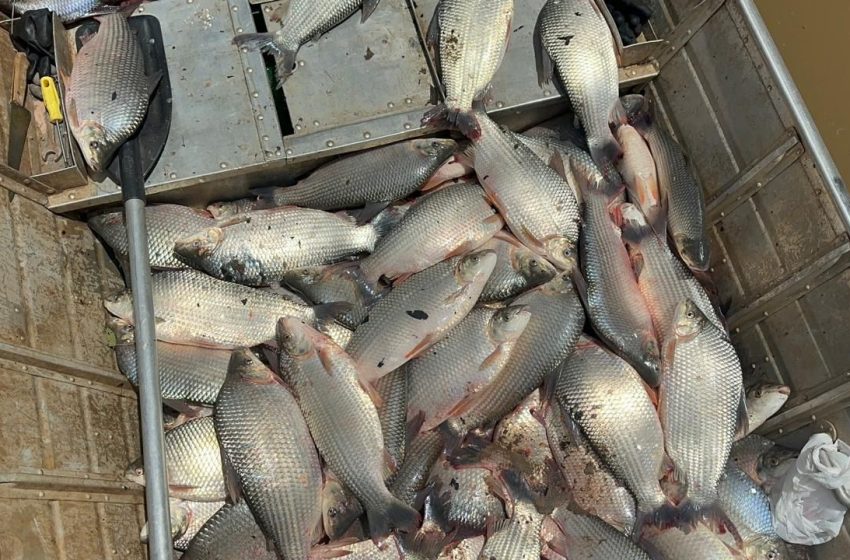  Amapá tem mais de 28 mil pescadores artesanais registrados, segundo pesquisa nacional