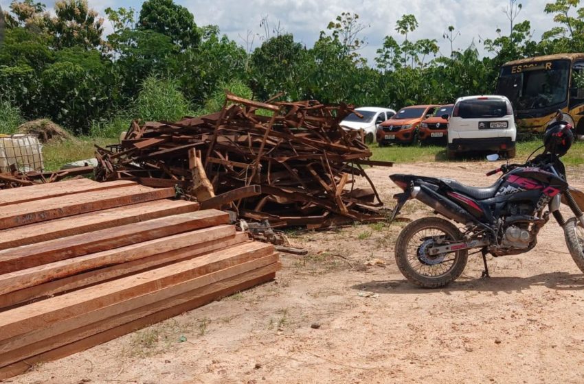  Operação identifica 20 pontos de desmatamento ilegal em reserva federal no Amapá