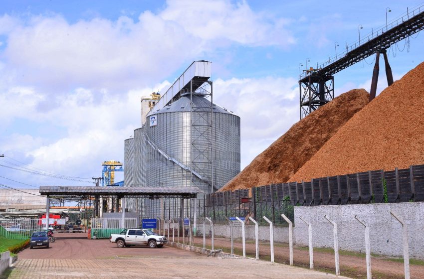  Porto de Santana vira rota estratégica para exportar soja do Centro-Oeste e do Amapá