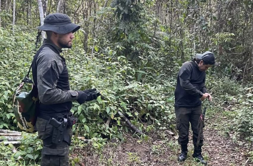  Combate ao desmatamento no AP resulta em prisões e apreensão de armas