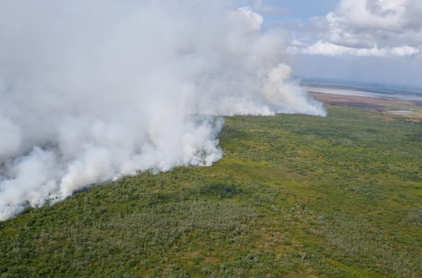  Focos de calor no Amapá sobem 400% no início da estiagem, aponta meteorologista