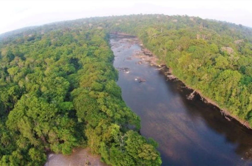  Quatro pessoas desaparecem em floresta de difícil acesso no Amapá