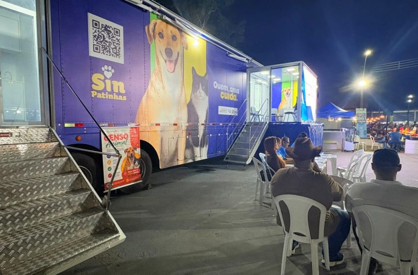  Tutores podem cadastrar cães e gatos para receber castração gratuita no Amapá