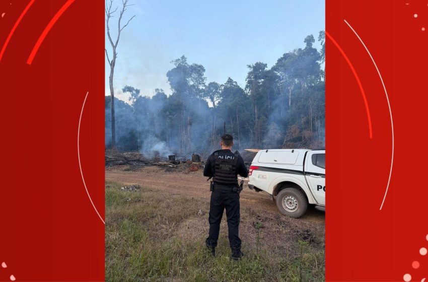  Homem é preso em flagrante suspeito de provocar incêndio em área rural de Porto Grande, no AP
