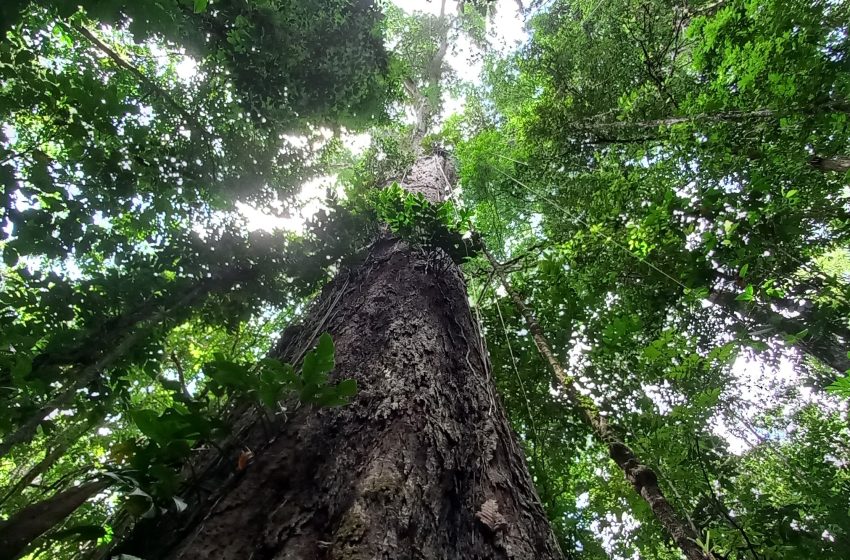  Grito dos Excluídos no Amapá defende mulheres, Amazônia e protesta contra injustiças sociais