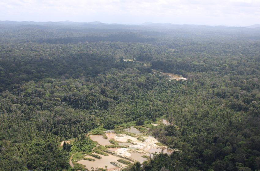  Potencial de terras raras pode colocar Amapá no radar internacional da mineração